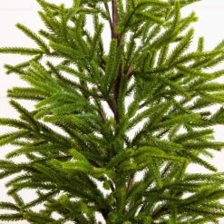 32 In. Artificial Real Touch Norfolk Island Pine In Christmas Tin Metal Planter With Natural Look 13 32 In. Artificial Real Touch Norfolk Island Pine In Christmas Tin Metal Planter With Natural Look -Christmas Gift Shop nearly natural unlit christmas trees t5388 1f 1000