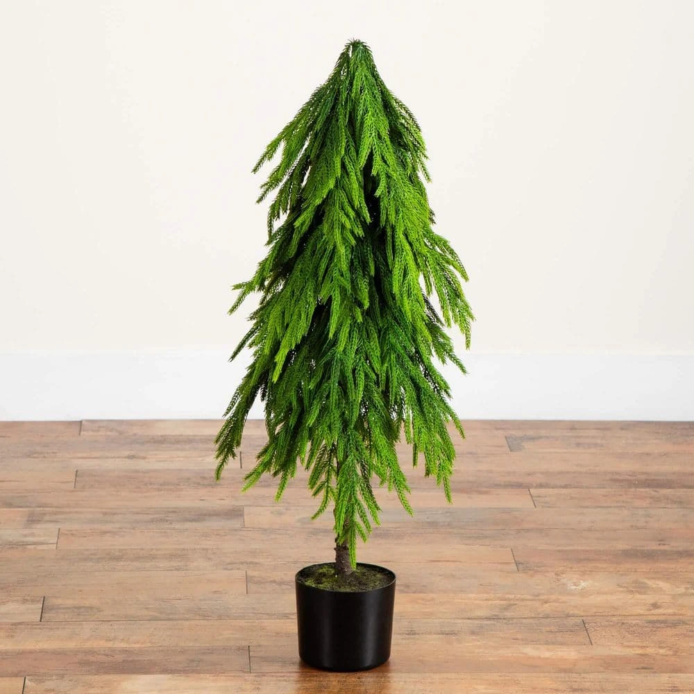 3 Ft. Artificial Real Touch Down Swept Norfolk Pine Tree With Natural Look 7 3 Ft. Artificial Real Touch Down Swept Norfolk Pine Tree With Natural Look - Image 5