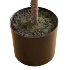 5 Ft. Artificial Real Touch Down Swept Norfolk Pine Tree With Natural Look 11 5 Ft. Artificial Real Touch Down Swept Norfolk Pine Tree With Natural Look -Christmas Gift Shop nearly natural unlit christmas trees t5398 1f 1000