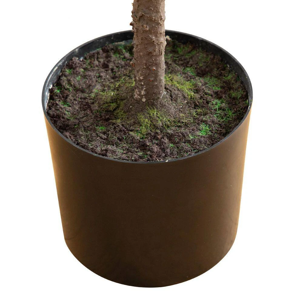 5 Ft. Artificial Real Touch Down Swept Norfolk Pine Tree With Natural Look 6 5 Ft. Artificial Real Touch Down Swept Norfolk Pine Tree With Natural Look - Image 4